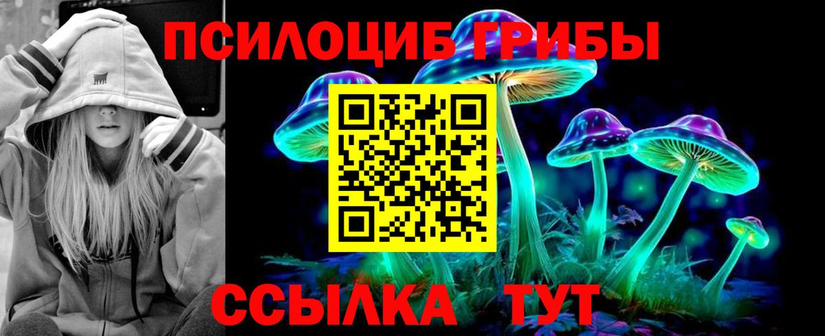 Псилоцибиновые грибы прущие грибы  Вход с VPN  Чапаевск  Псилоцибиновые грибы Psilocybine cubensis 